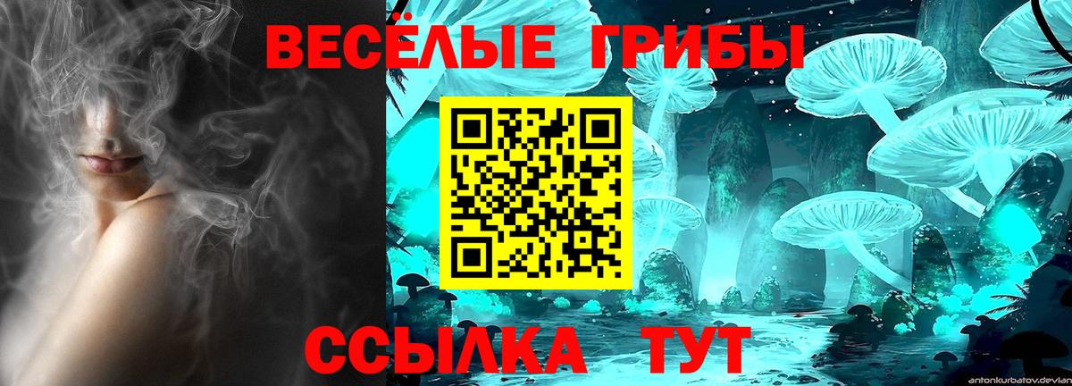 Киселёвск  Галлюциногенные грибы Psilocybe  Галлюциногенные грибы ЛСД  Вход с VPN 